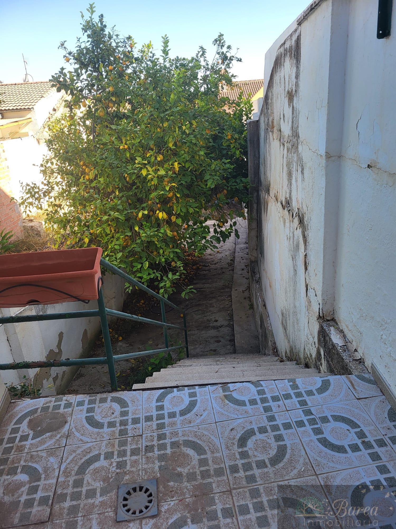 Venta de casa en Rute