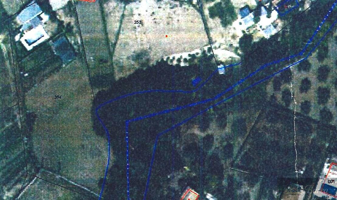 Venta de finca rústica en Rute