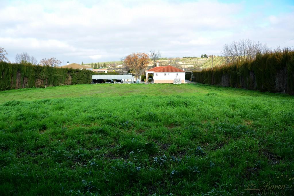 Venta de casa en Lucena