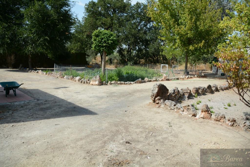 Venta de casa en Lucena
