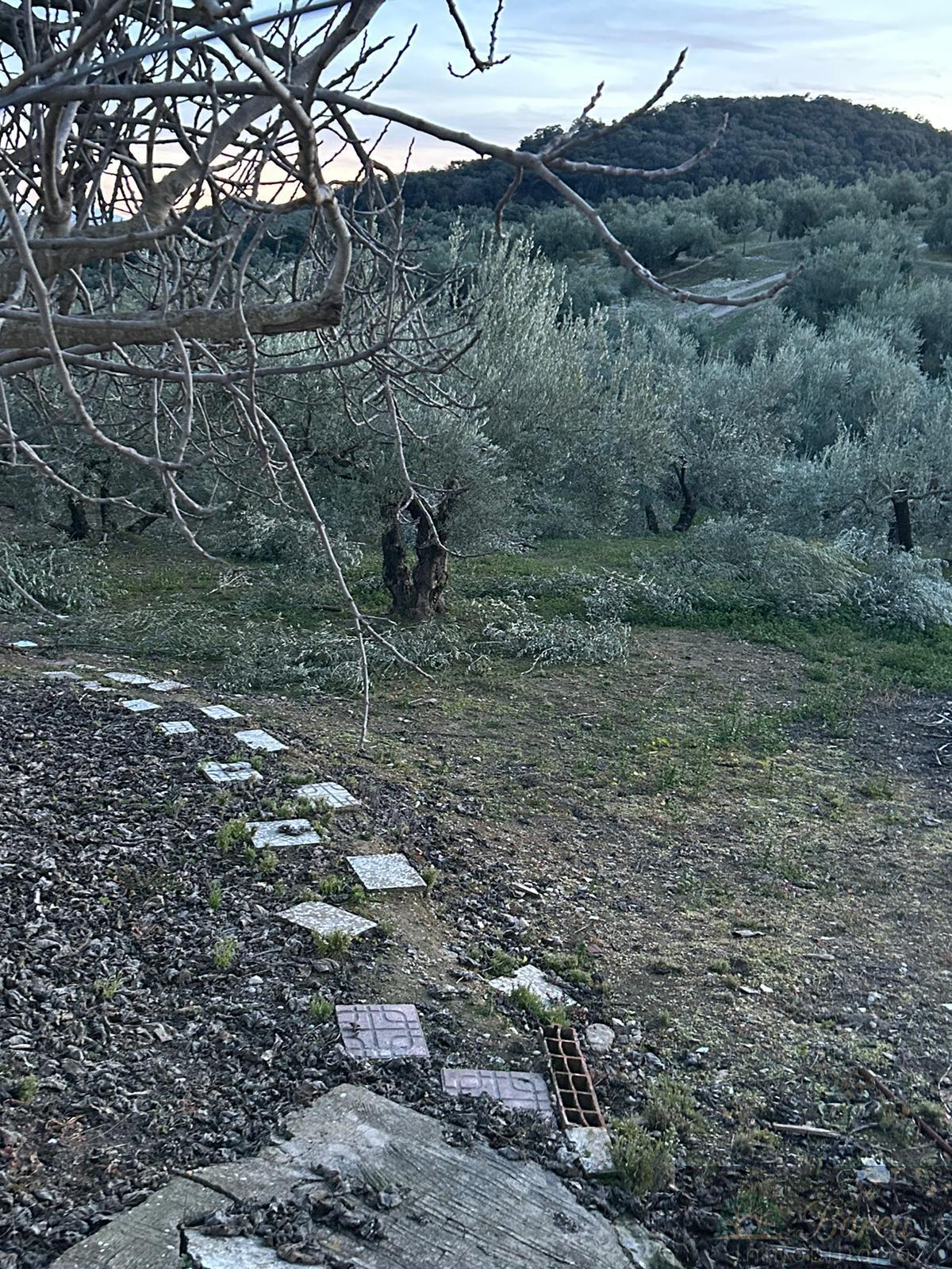Venta de terreno en Rute