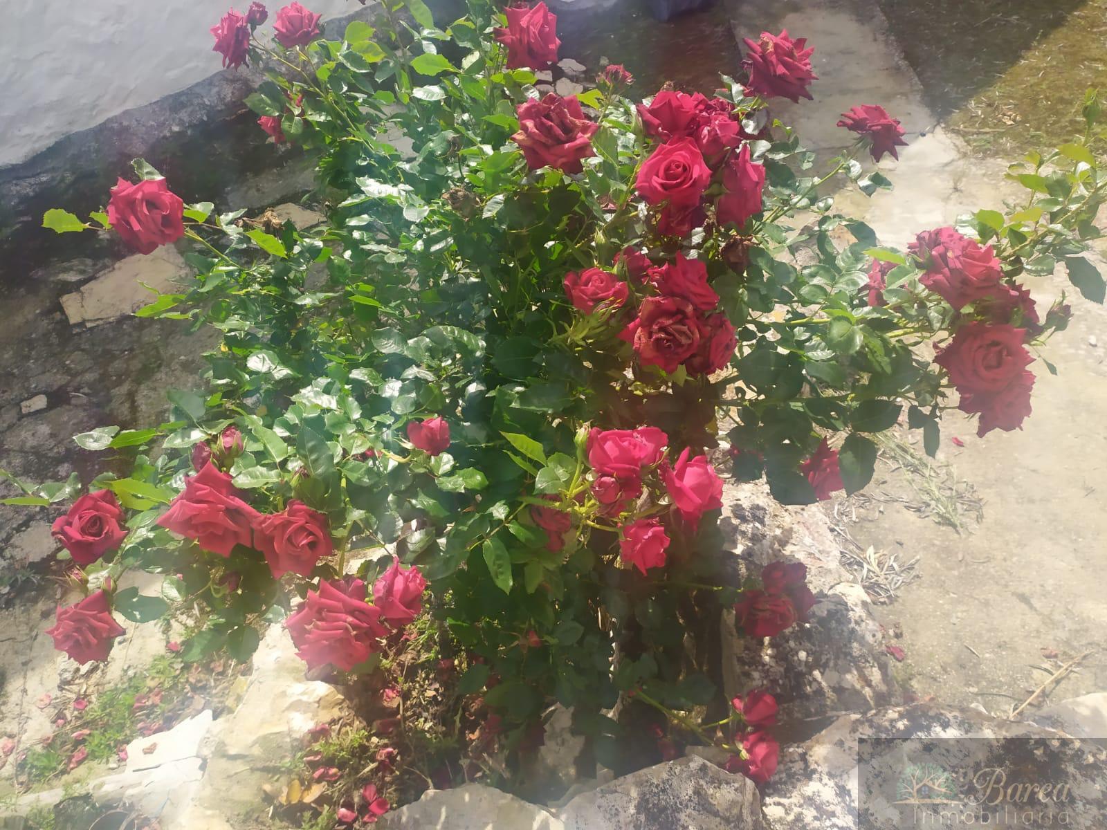 Venta de casa en Iznájar