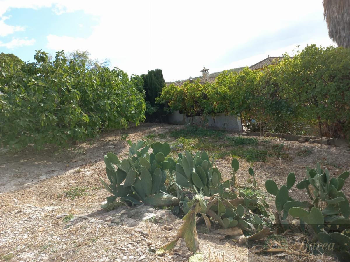 Venta de finca rústica en Rute