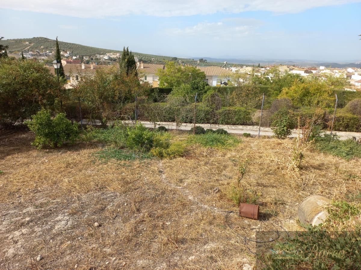 For sale of rural property in Rute