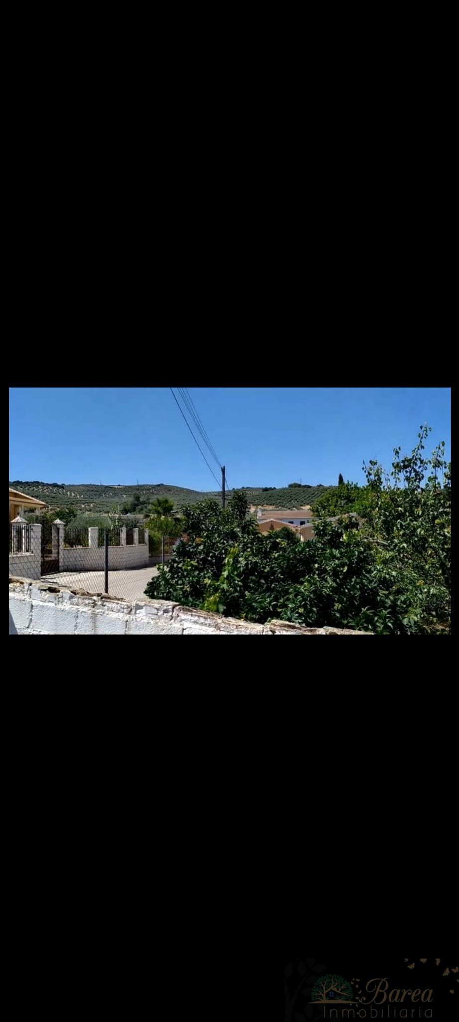 Venta de finca rústica en Lucena