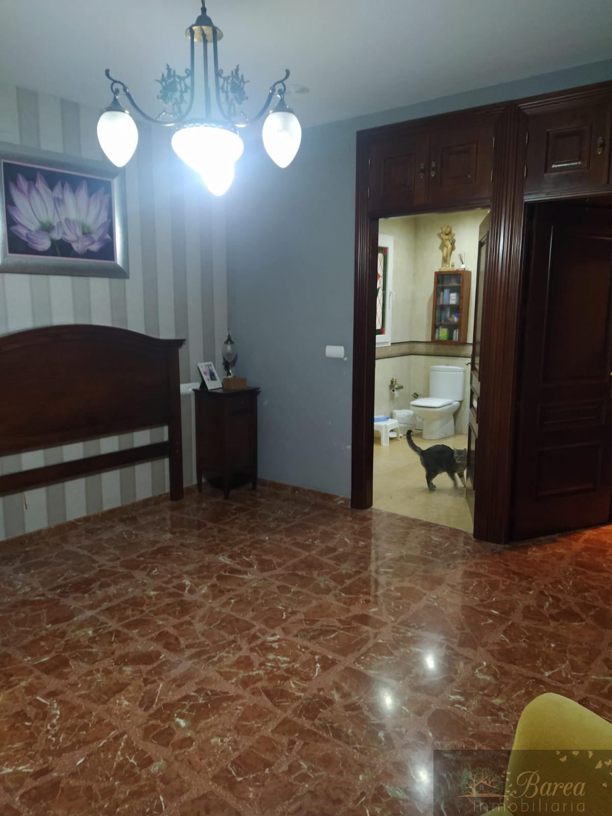 For sale of house in Rute