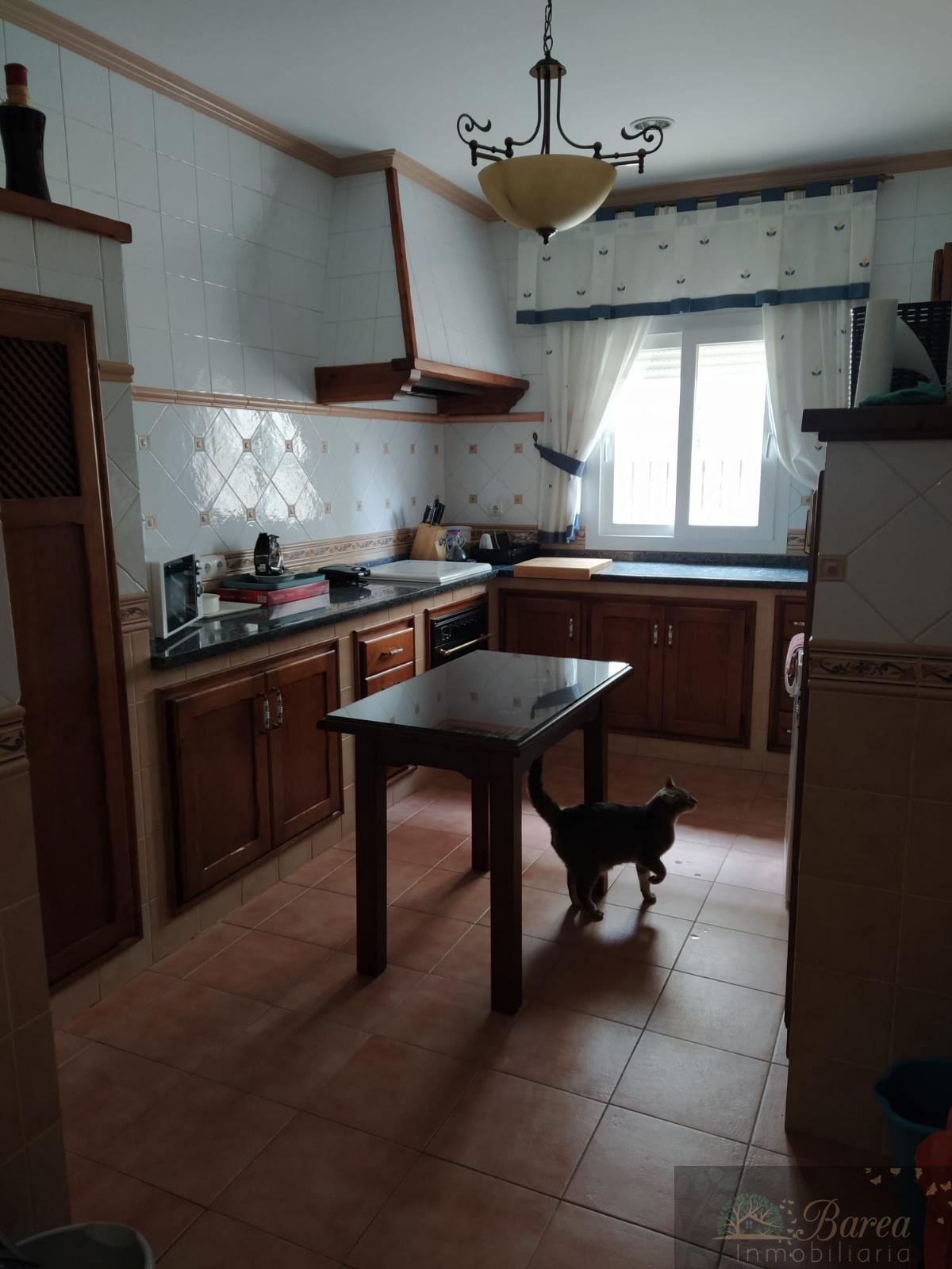 For sale of house in Rute