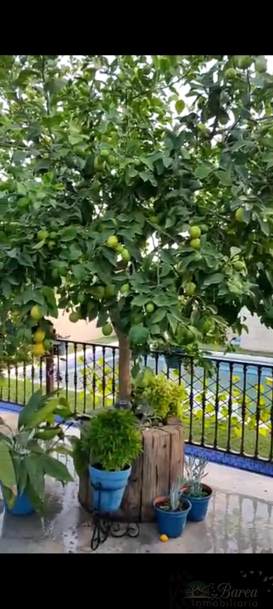 Sprzedaż z szalet w Rute