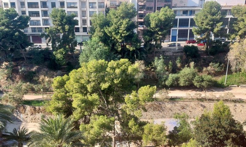 For rent of apartment in Elche