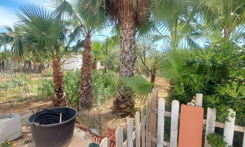 For sale of villa in Hondón De Las Nieves