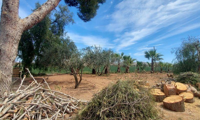 For sale of villa in Hondón De Las Nieves