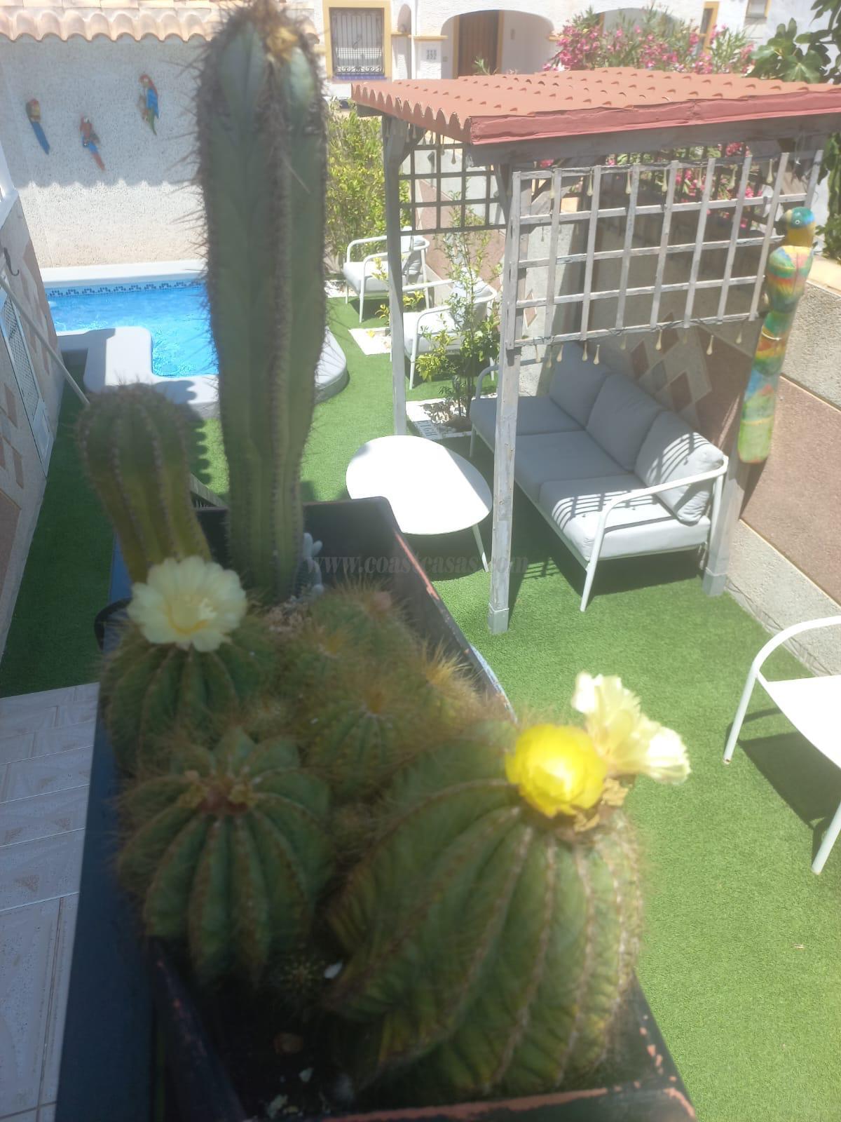 Venta de chalet en Orihuela Costa