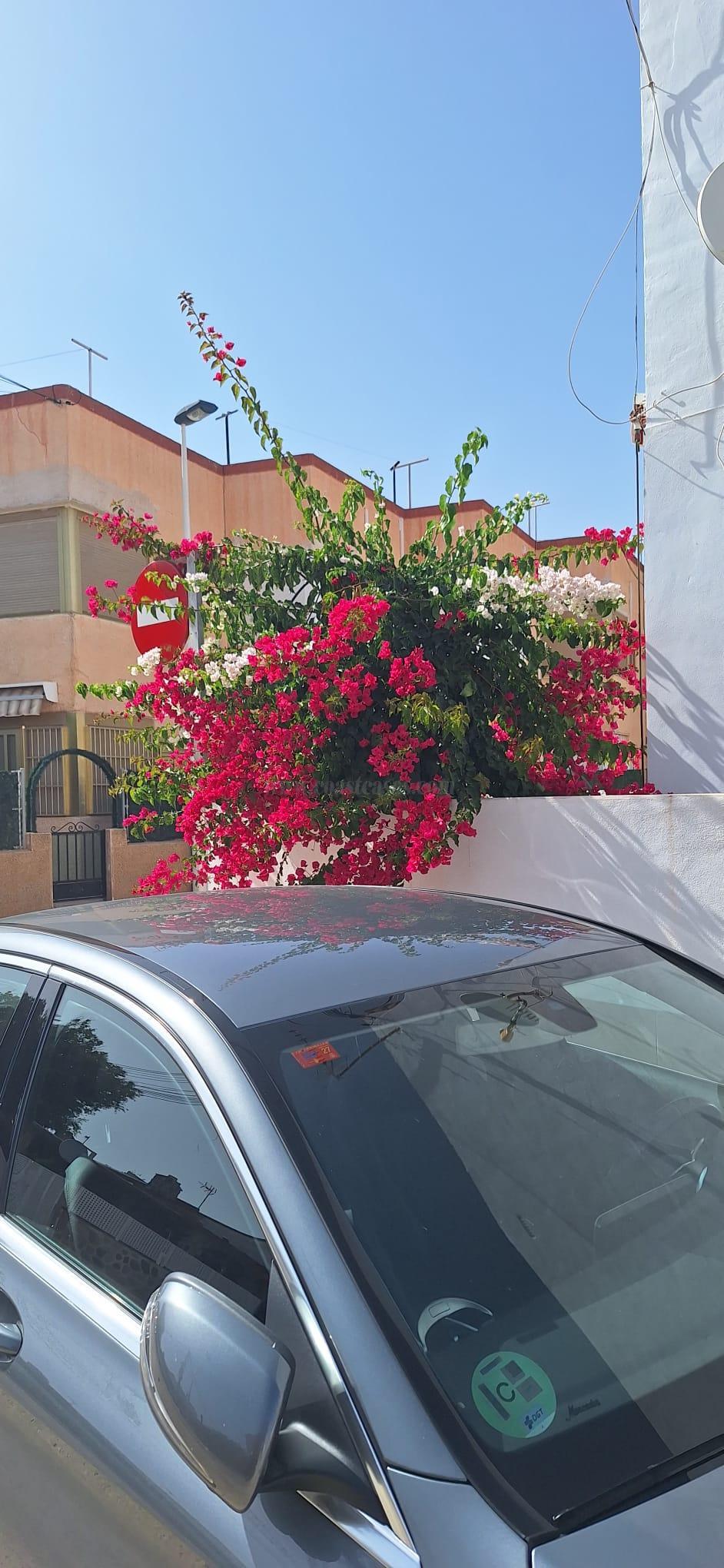Venta de apartamento en Pilar de la Horadada