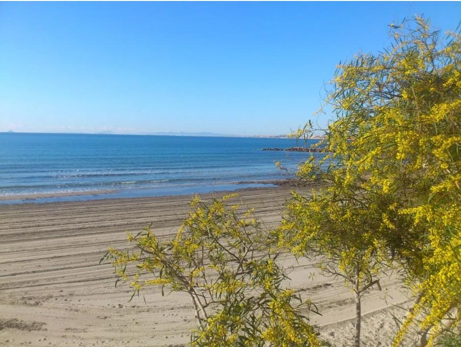 Venta de casa en Orihuela Costa