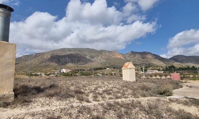 Venta de finca rústica en Hondón De Las Nieves