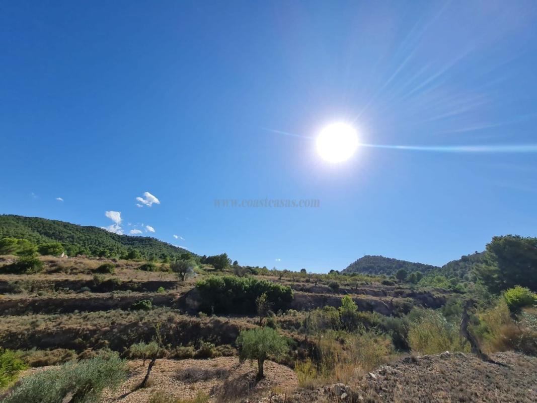Venta de casas en Monovar