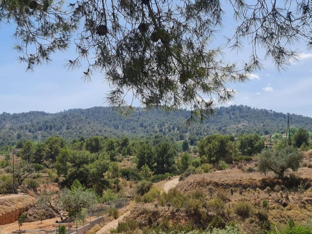 Venta de casas en Monovar