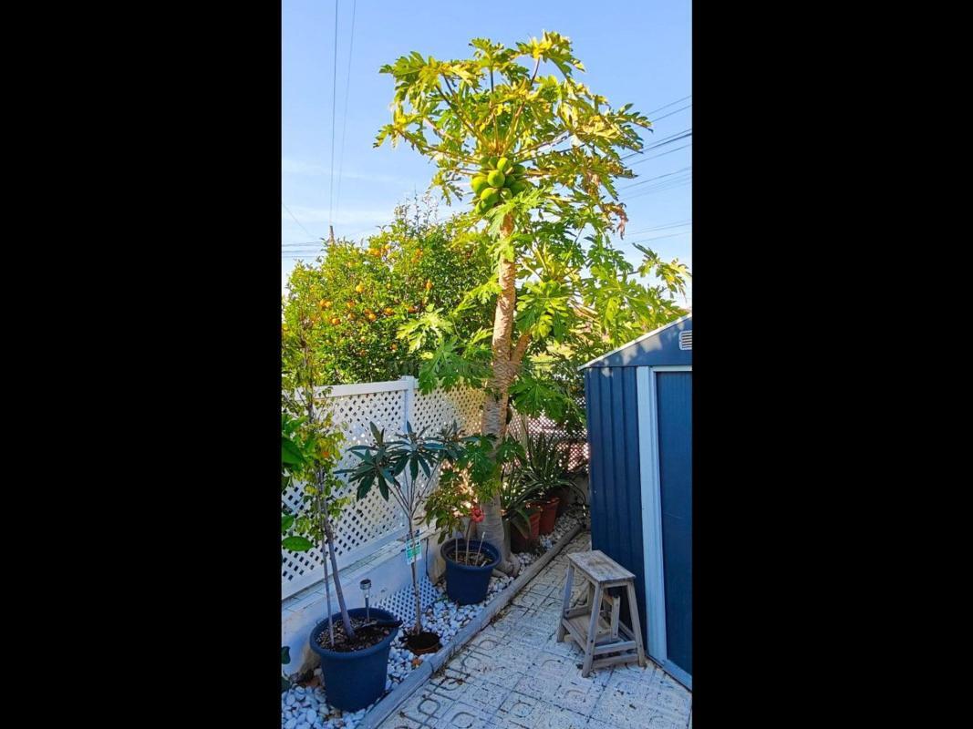 Venta de villa en Torrevieja