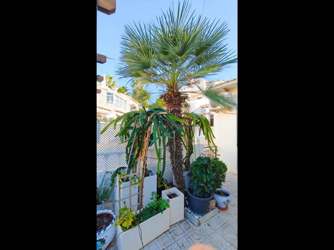 Venta de villa en Torrevieja