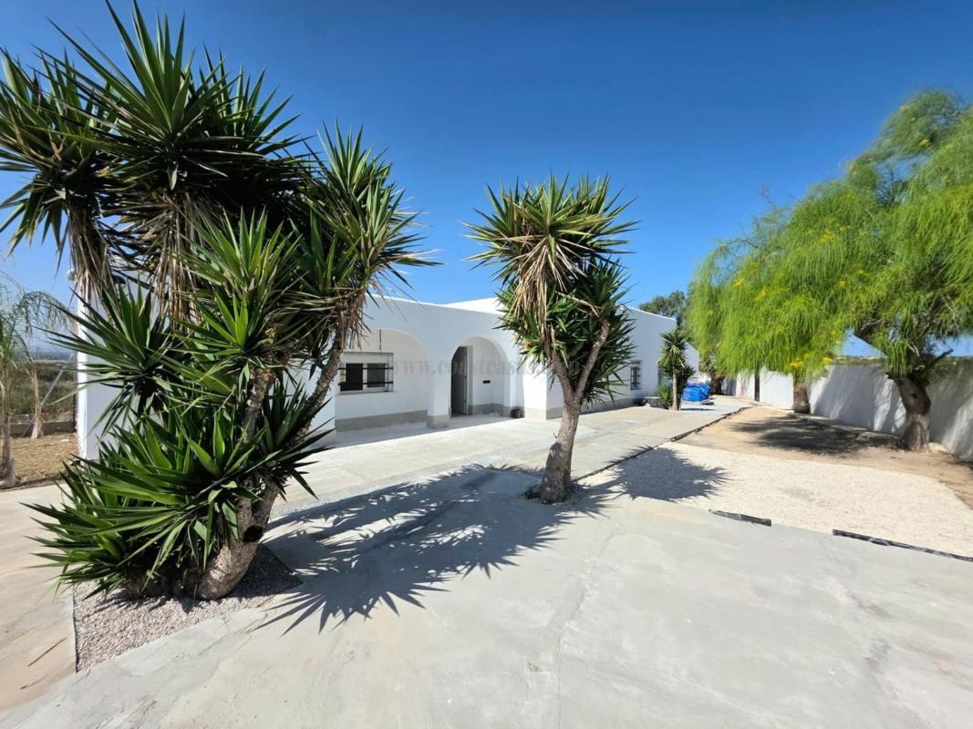 Venta de  en Elche-Elx