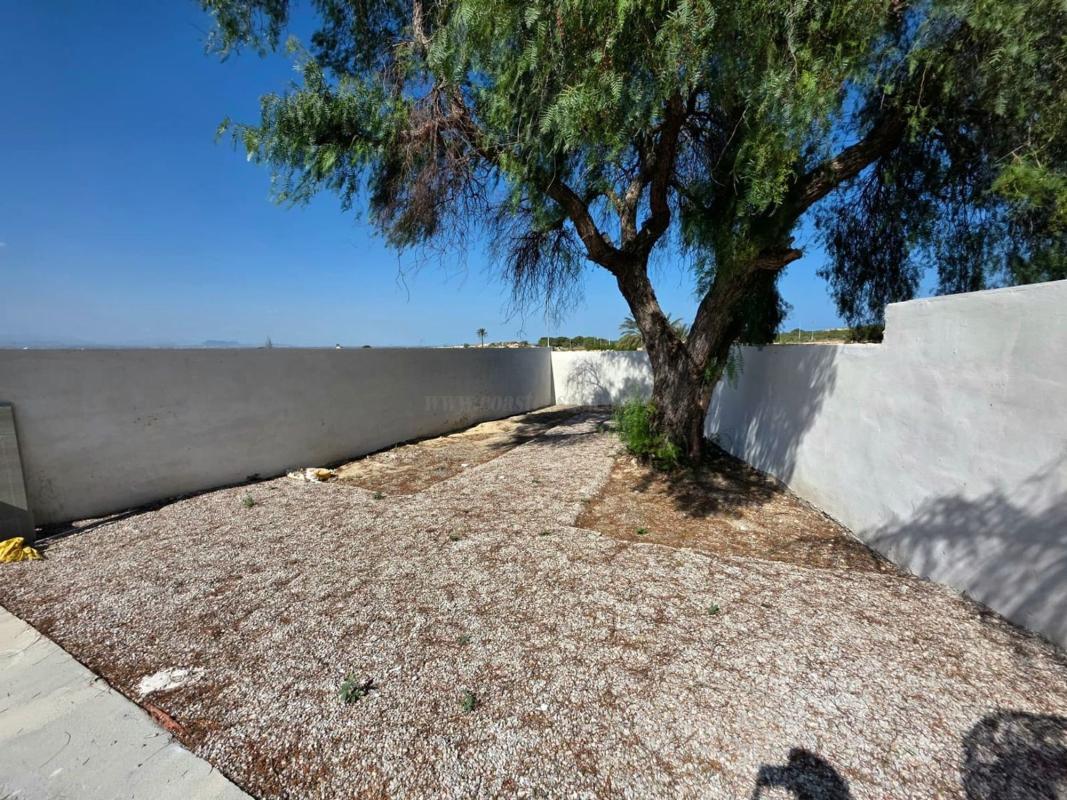 Venta de  en Elche-Elx