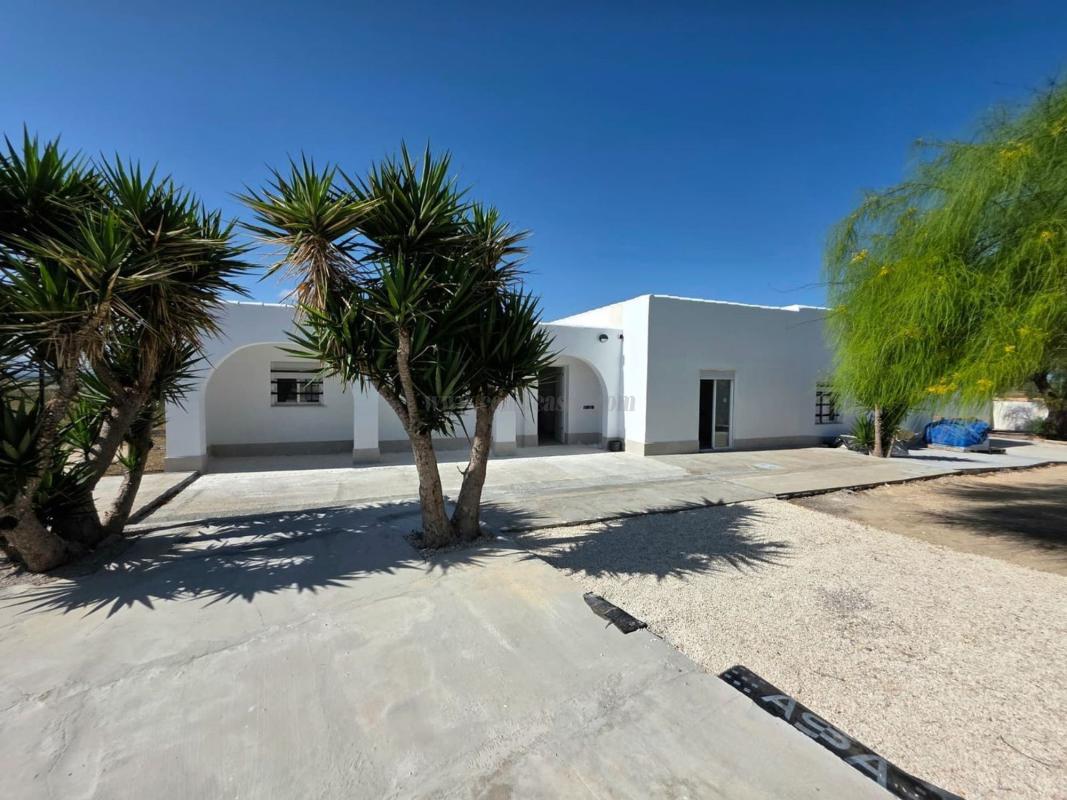 Venta de  en Elche-Elx