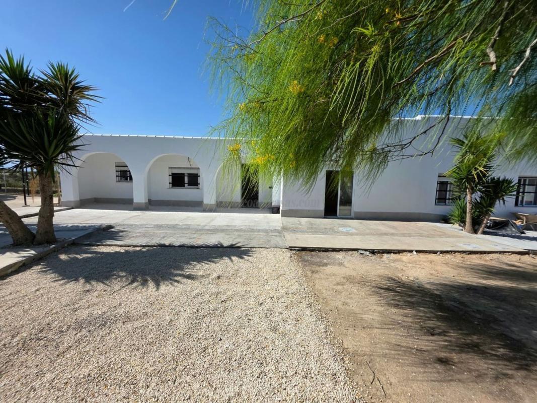 Venta de  en Elche-Elx