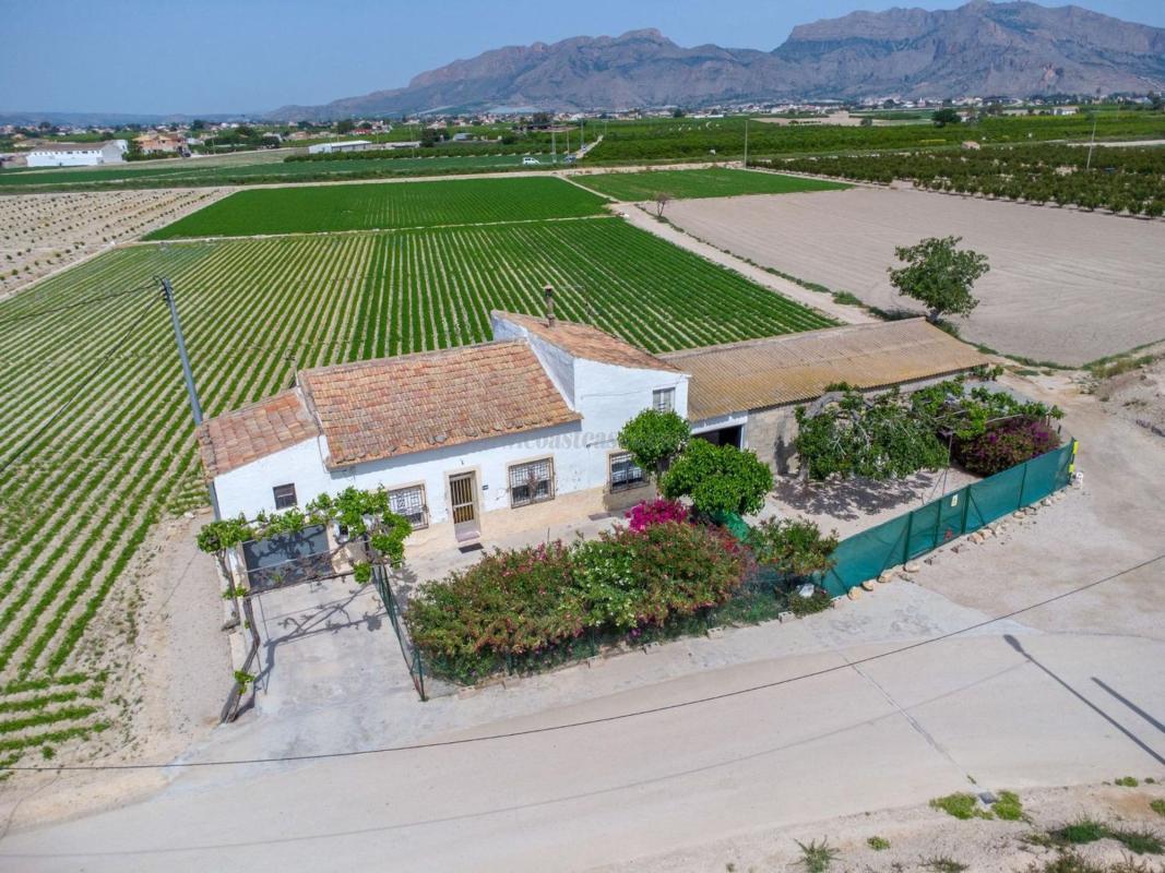 Venta de  en Orihuela