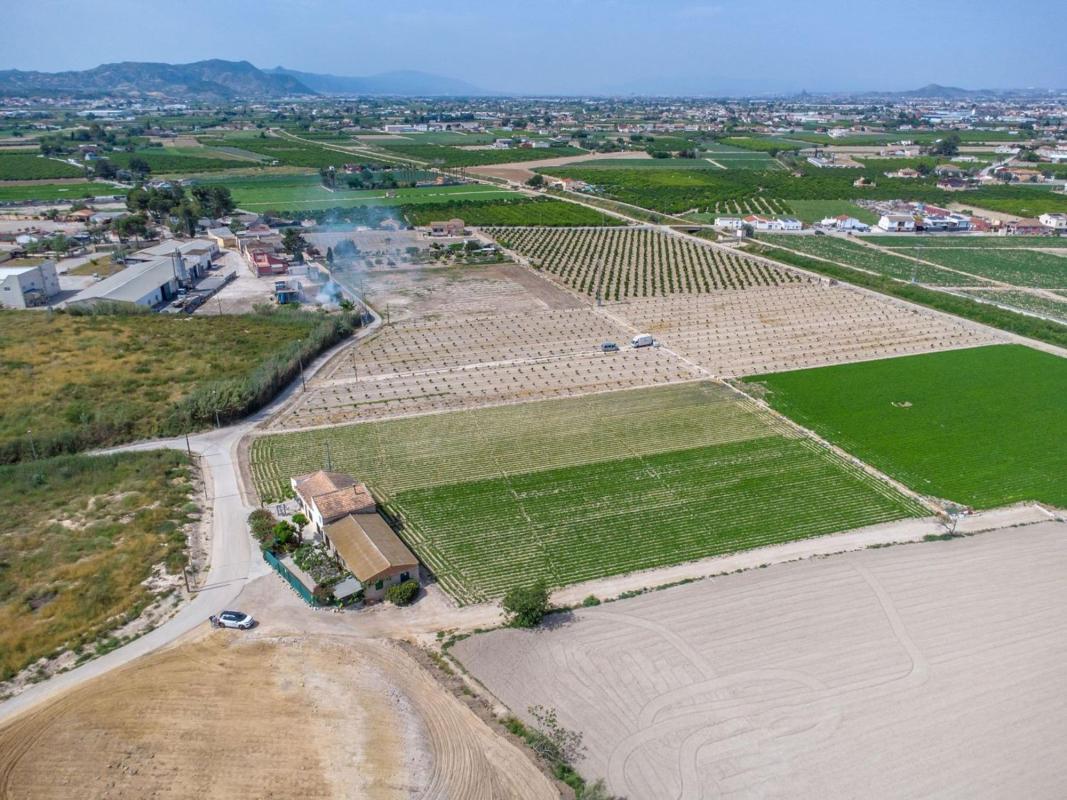 Venta de  en Orihuela