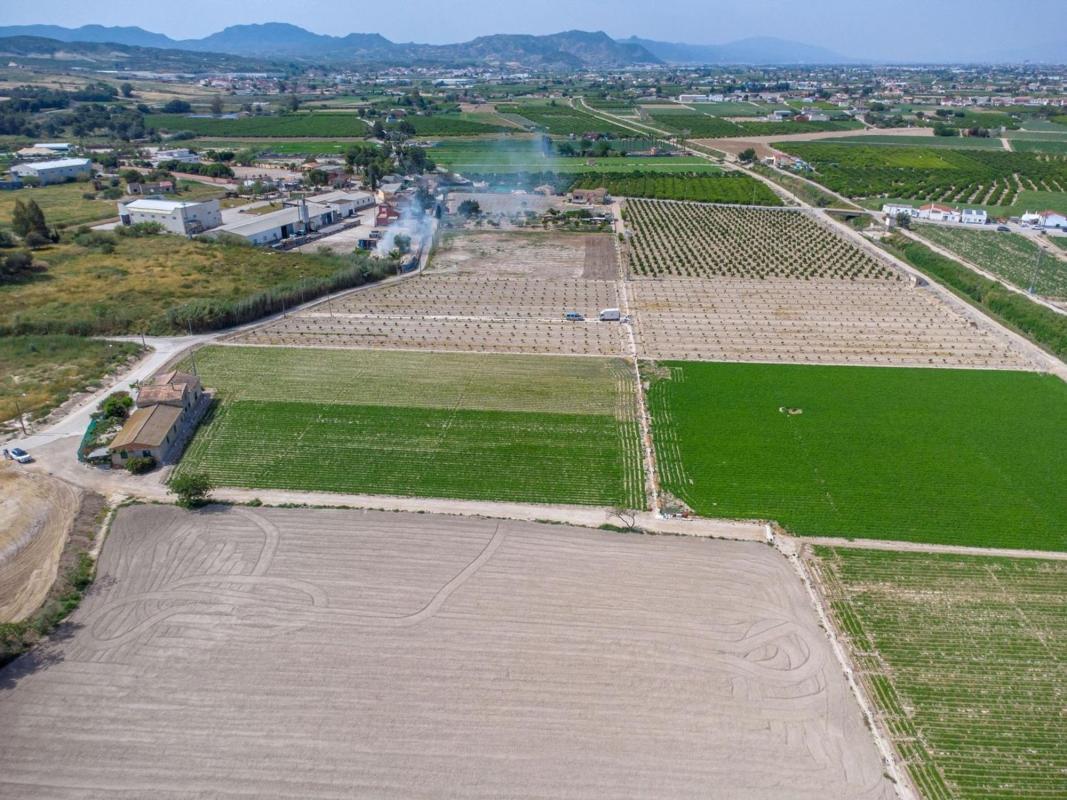 Venta de  en Orihuela