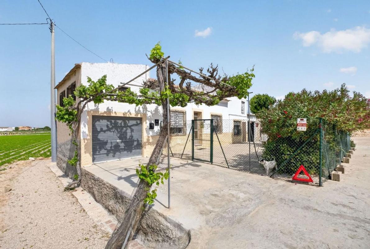 Venta de  en Orihuela