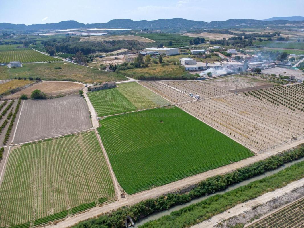 Venta de  en Orihuela