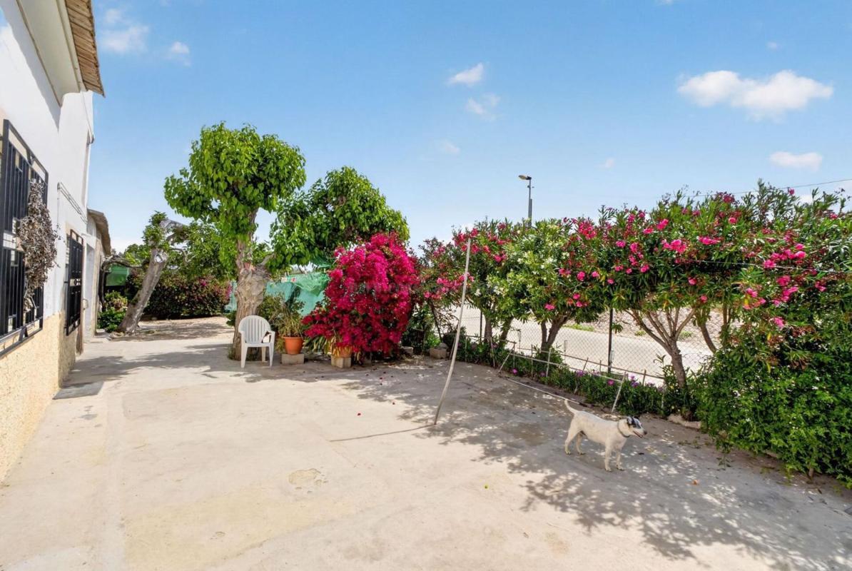 Venta de  en Orihuela