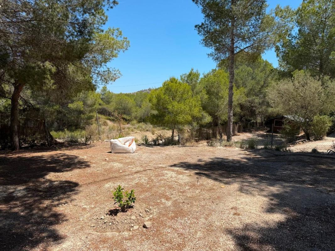 Venta de  en Orihuela