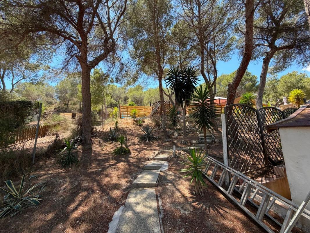 Venta de  en Orihuela