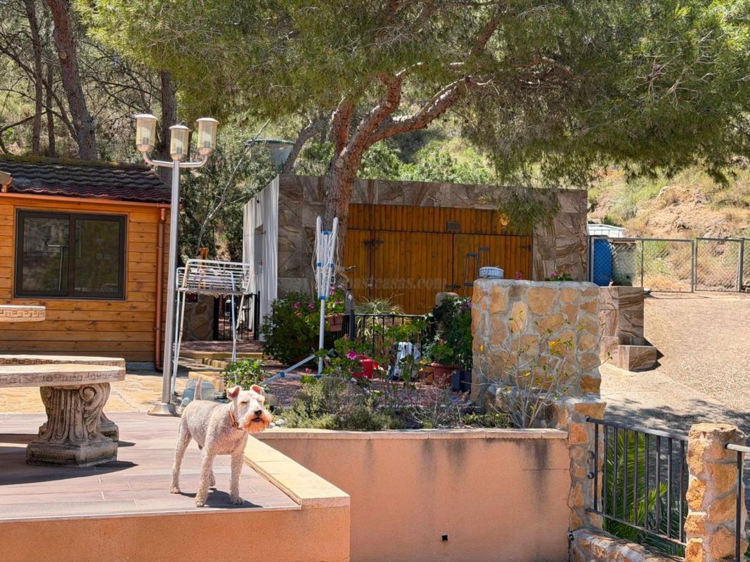 Venta de  en Orihuela