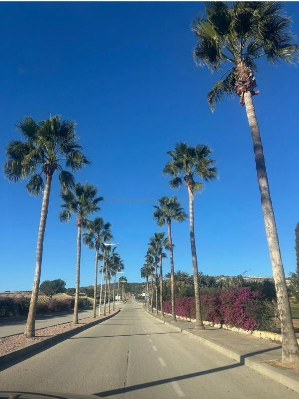 Venta de villa en Algorfa