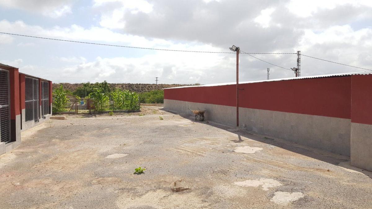 Venta de  en Los Montesinos