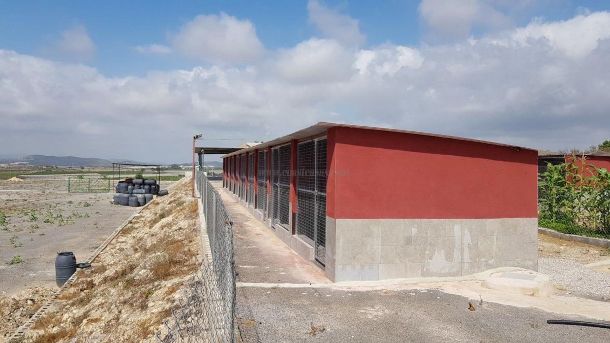 Venta de  en Los Montesinos