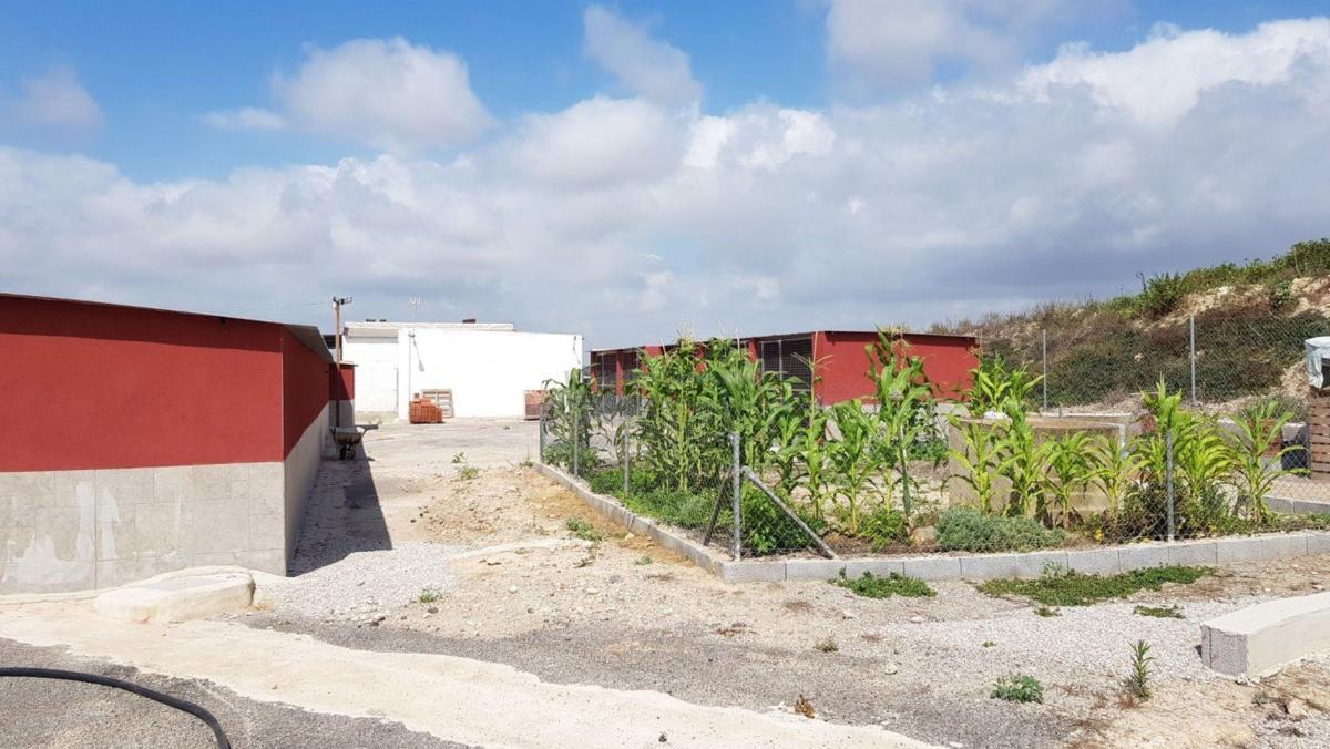 Venta de  en Los Montesinos