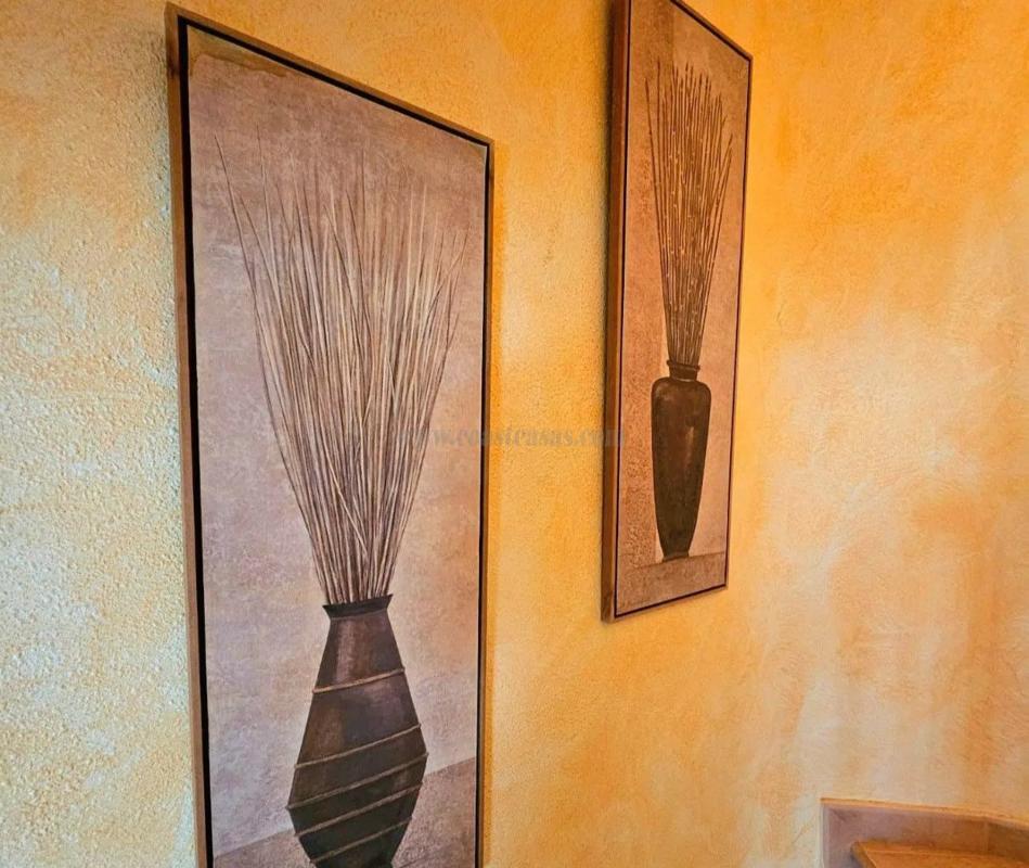Venta de casas en Guardamar del Segura