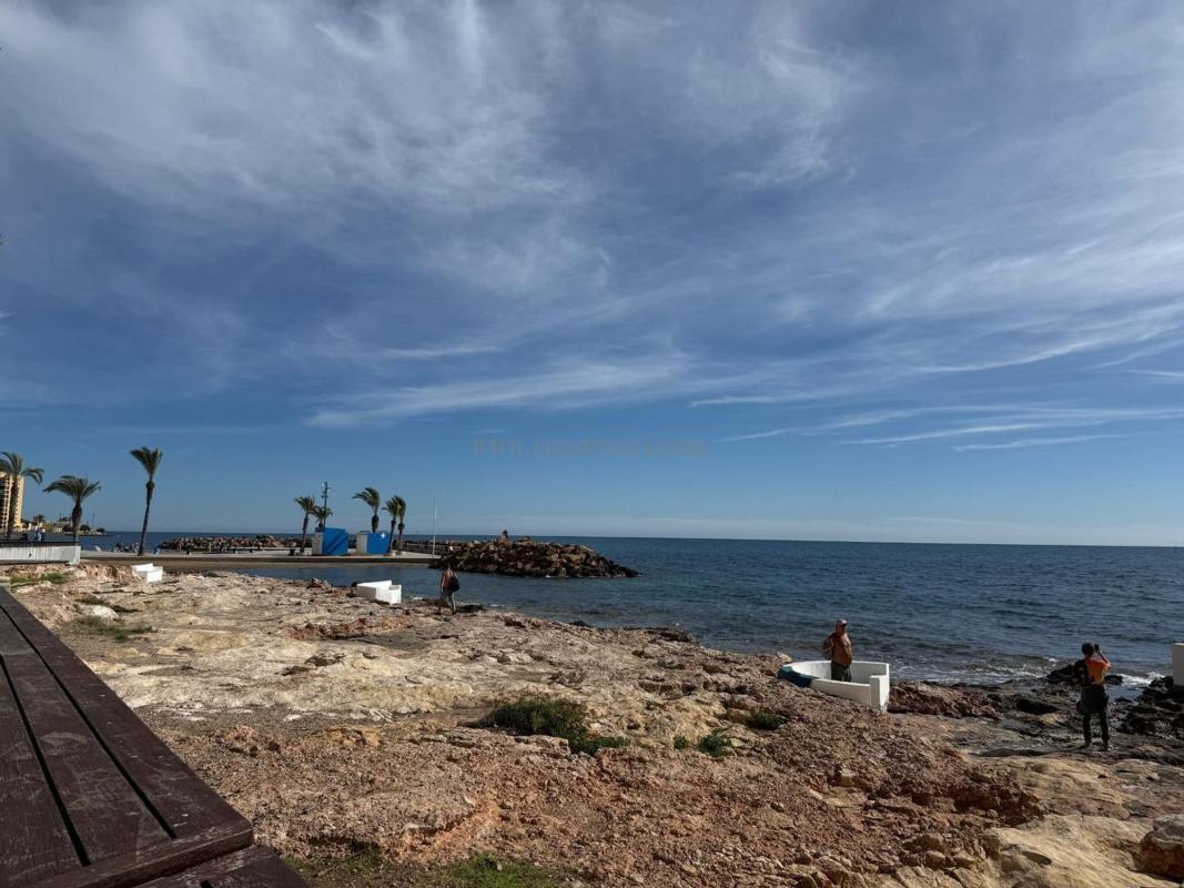 Venta de  en Torrevieja