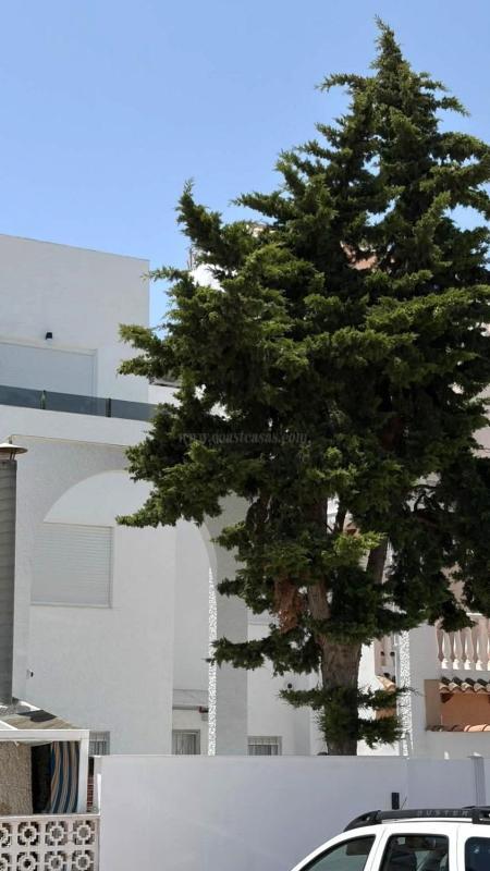 Venta de  en Torrevieja