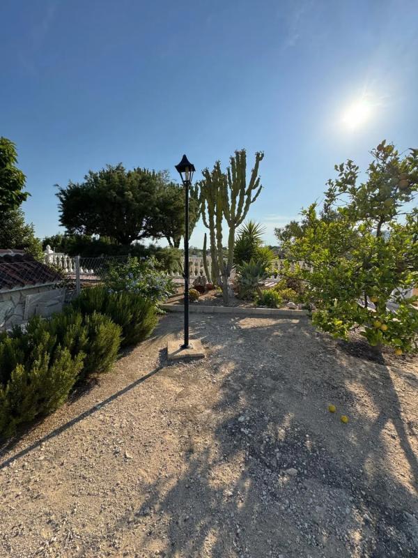 Venta de casas en Albatera