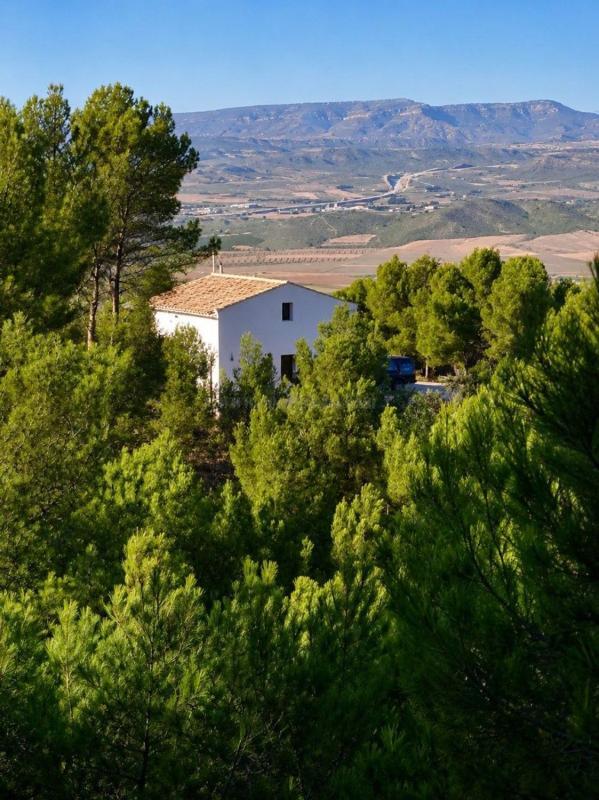 Venta de villa en Villena