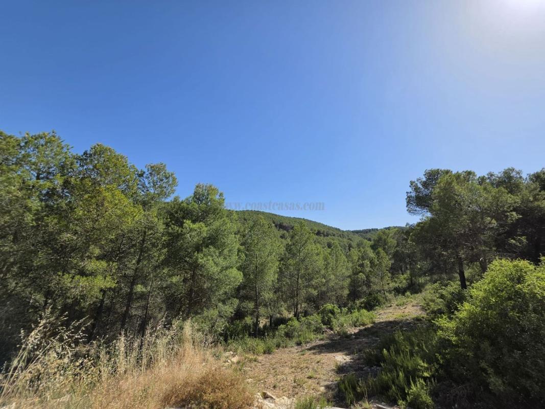 Venta de villa en Villena