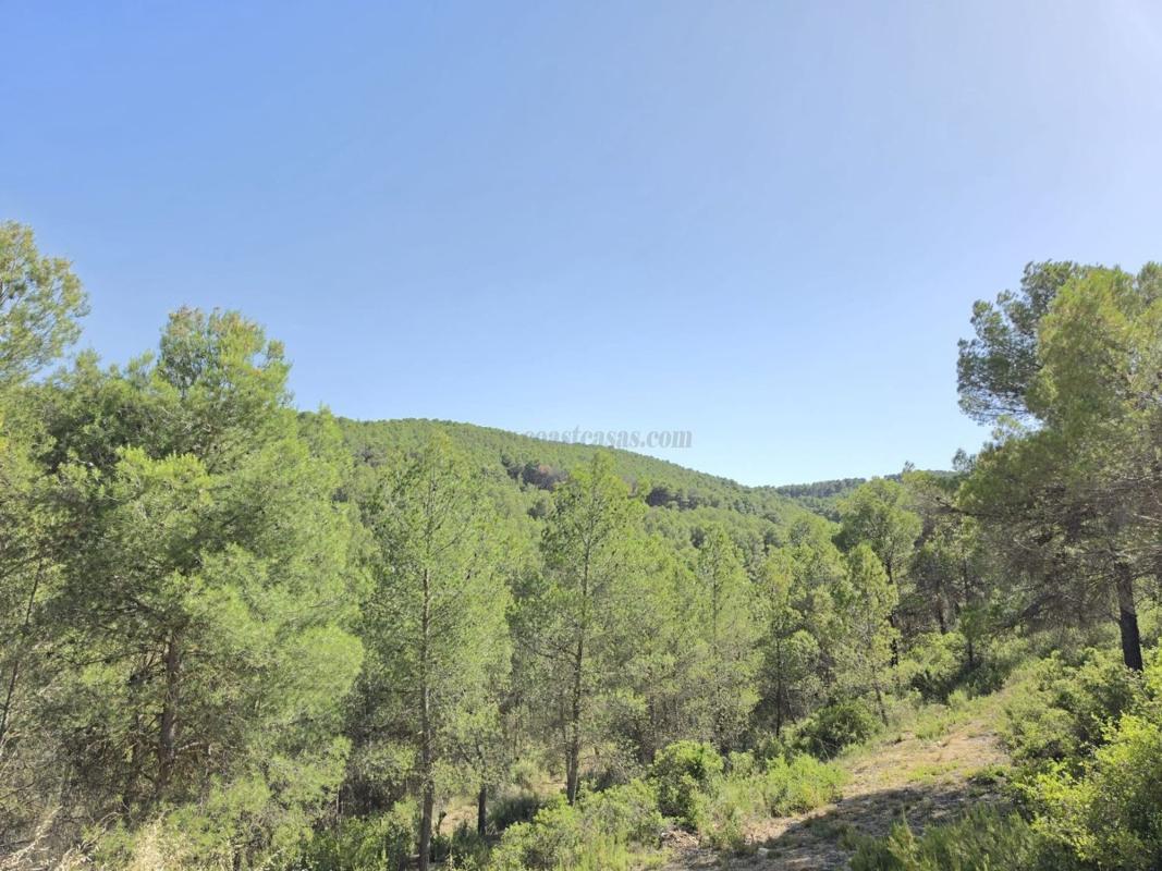 Venta de villa en Villena
