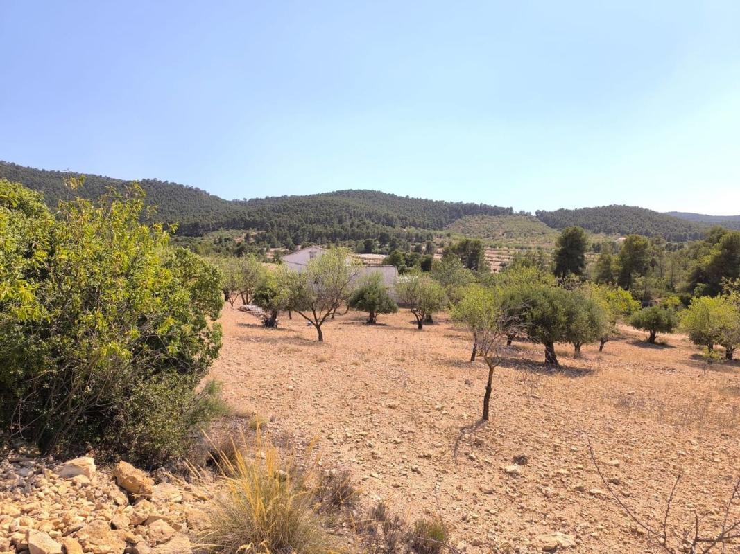 Venta de villa en Villena