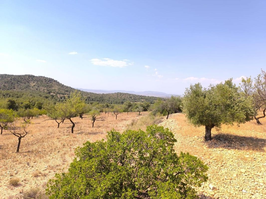 Venta de villa en Villena