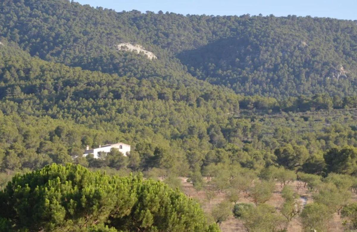 Venta de villa en Villena